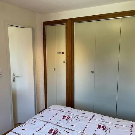 Charming Bright Spacious Village Walk To Lift Hike * Praz-sur-Arly